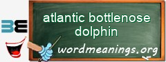 WordMeaning blackboard for atlantic bottlenose dolphin